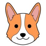 こーぎー