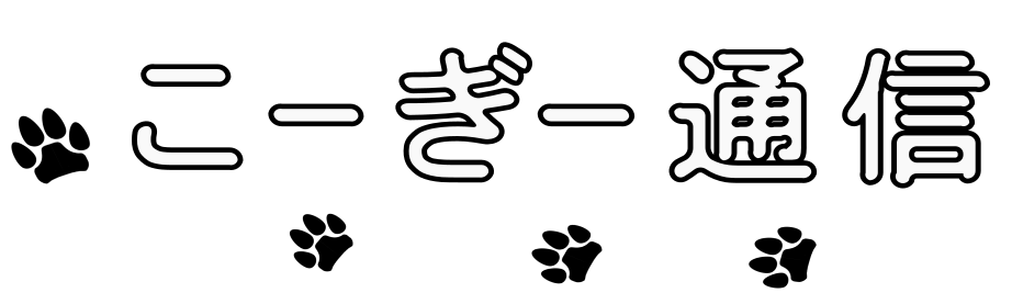 こーぎー通信